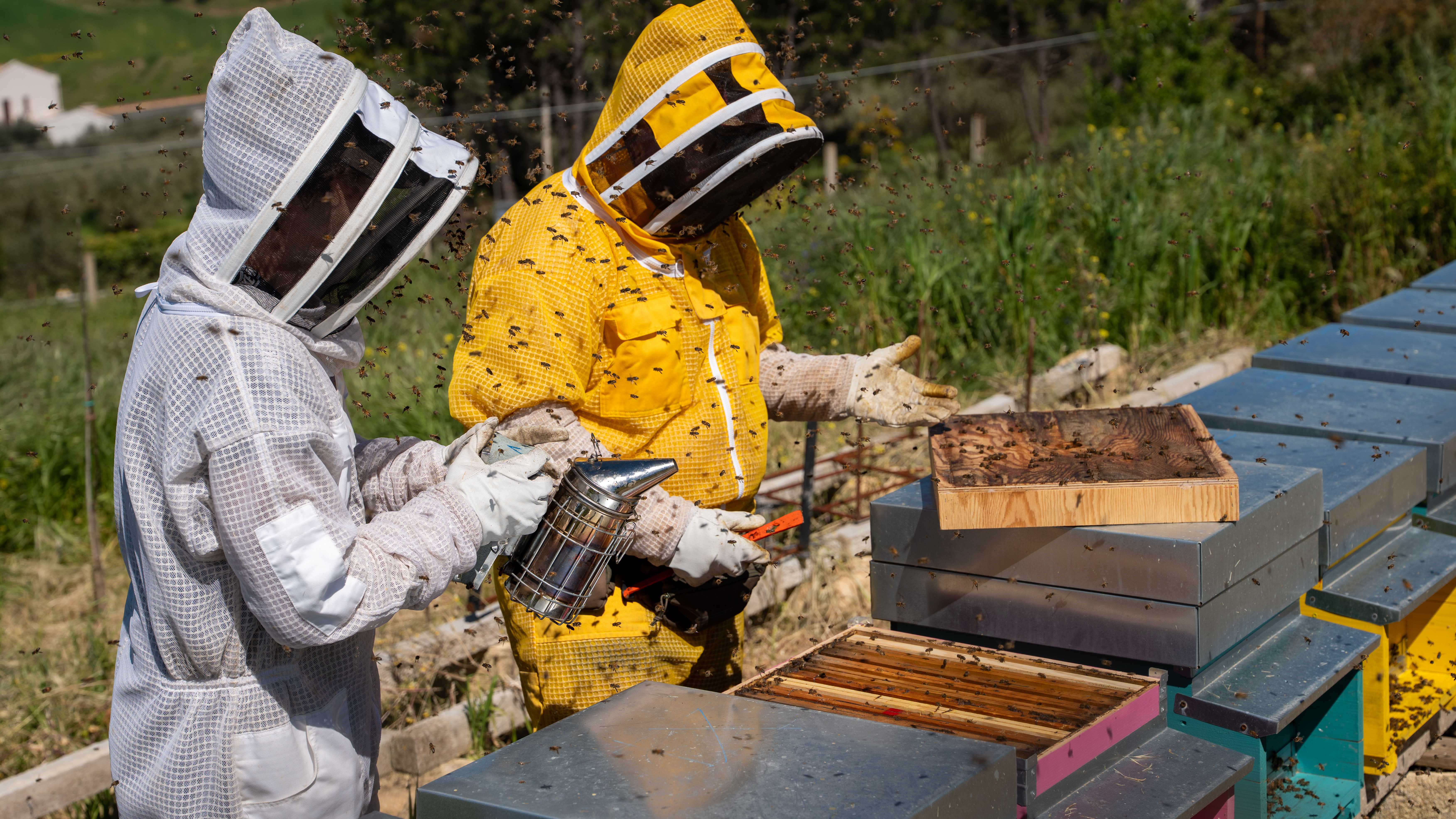 Due giovani apicoltori Beenacria al lavoro con le api