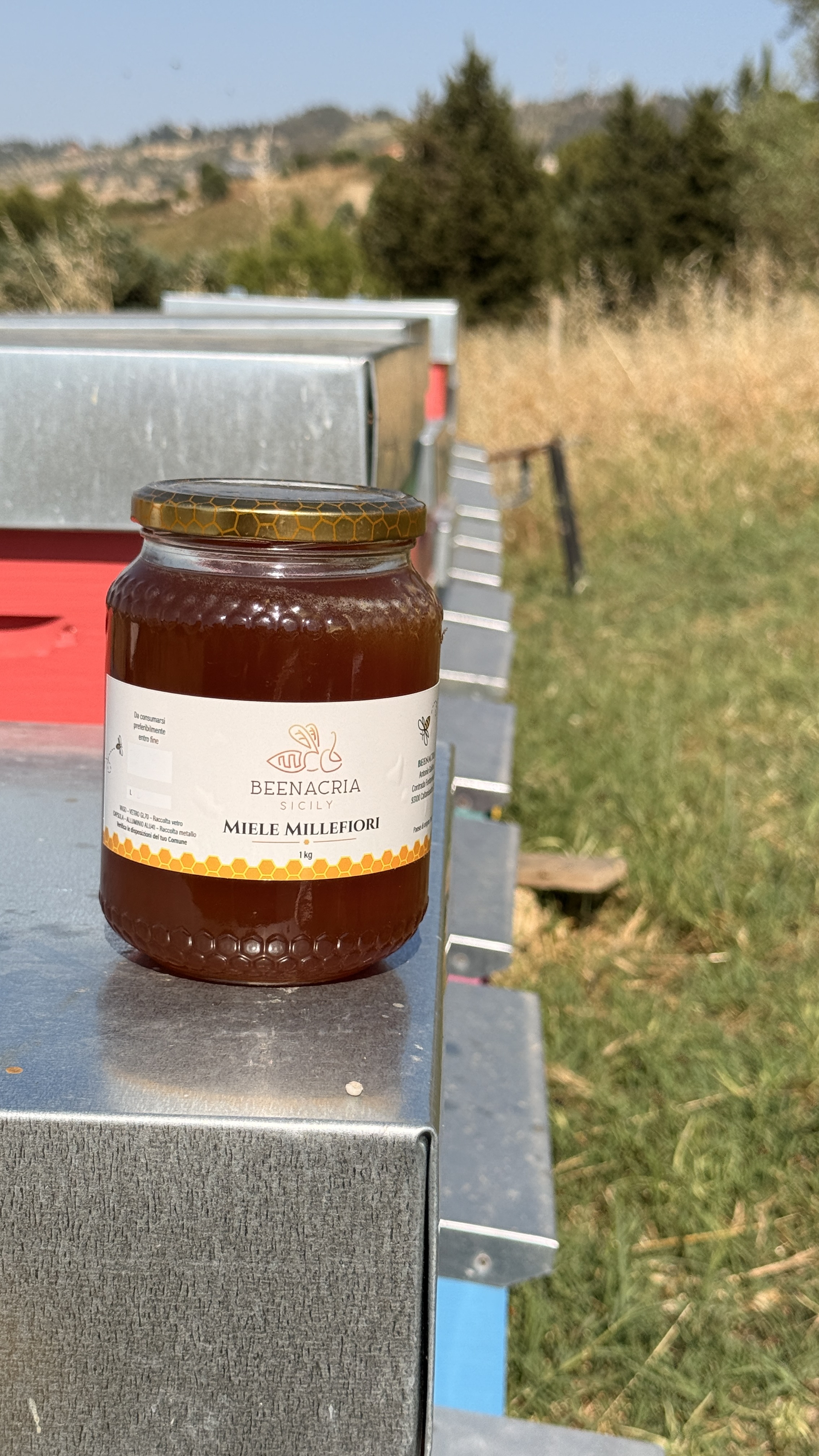 Vasetto di miele artigianale Beenacria